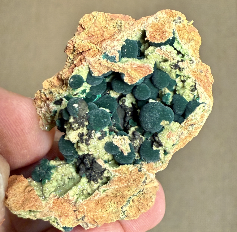 Capture d’écran 2026-02-28 à 09.56.09.png