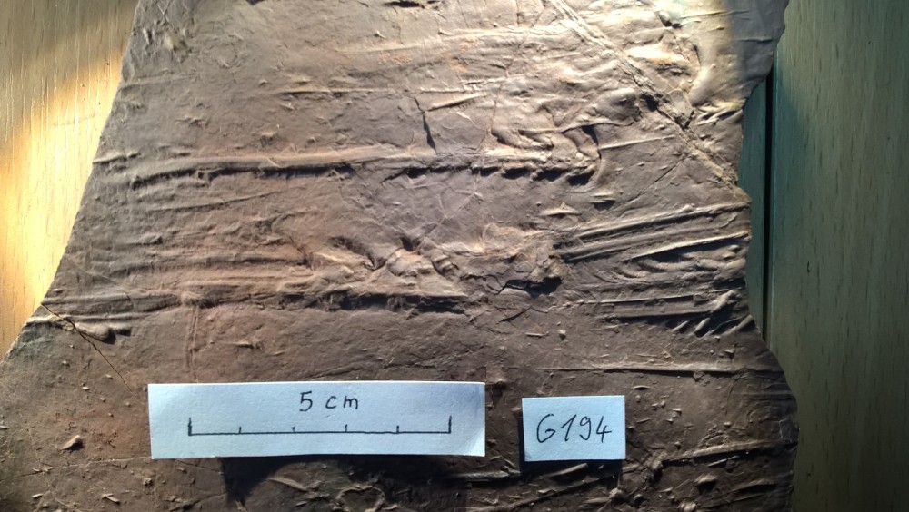 Chevrons - G194 zoom.jpg