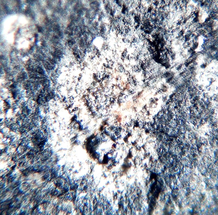 Chwichiya-002 aa.jpg