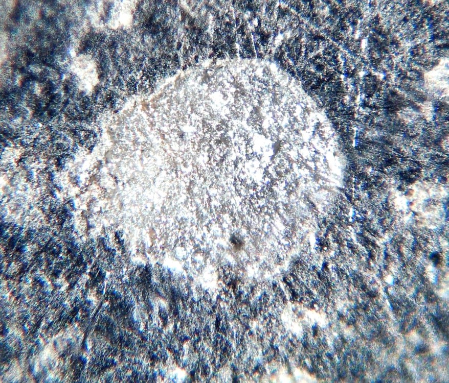 Chwichiya-002 ab.jpg