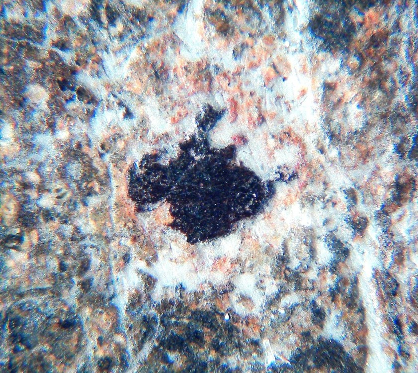 Claste métallique 1.jpg