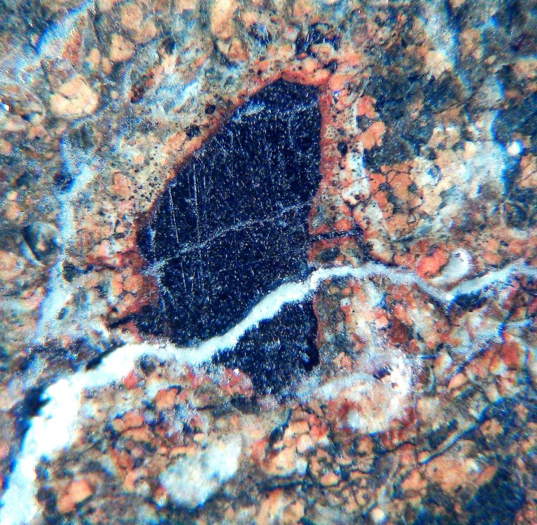 Claste métallique 2.jpg