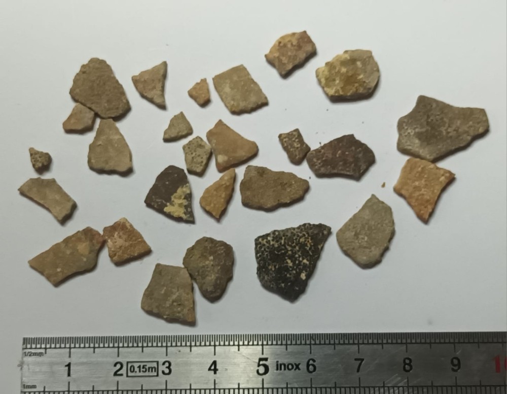 Coquilles d'oeuf de dinosaure.jpeg