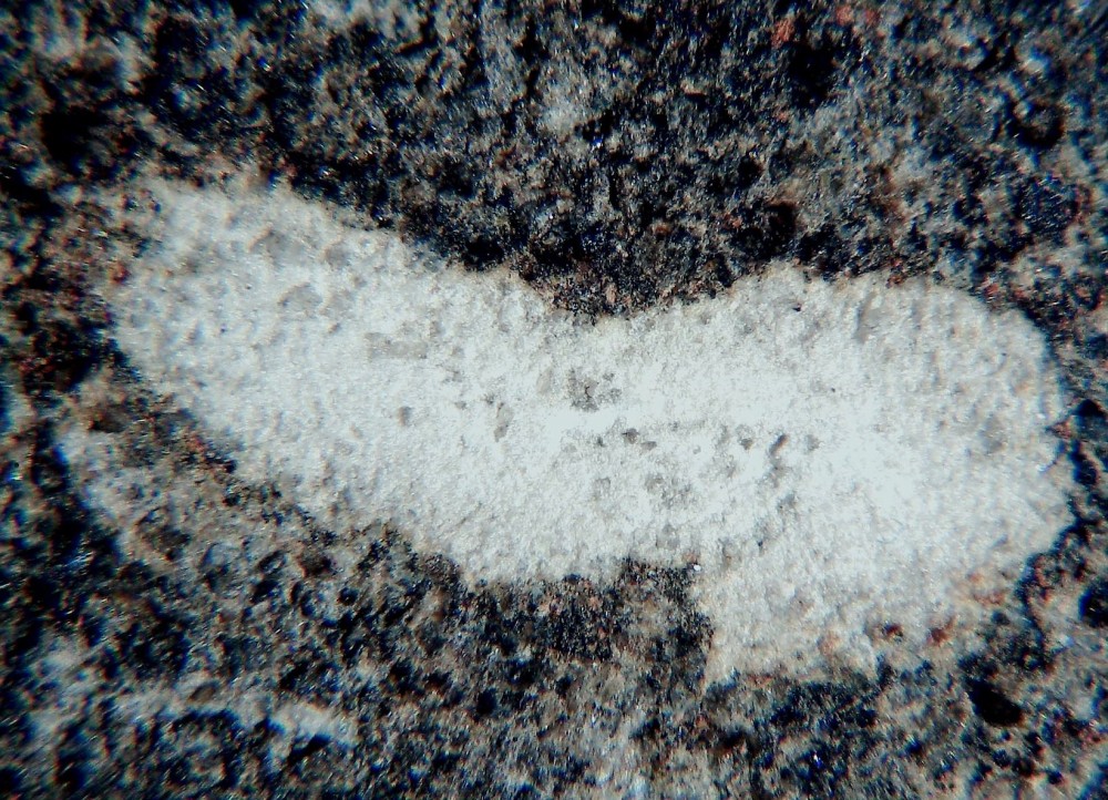 El Archane 025 1.jpg