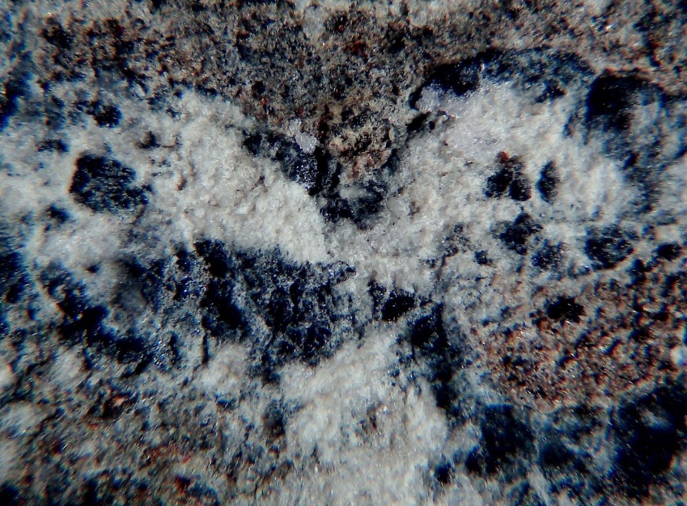 El Archane 025 3.jpg