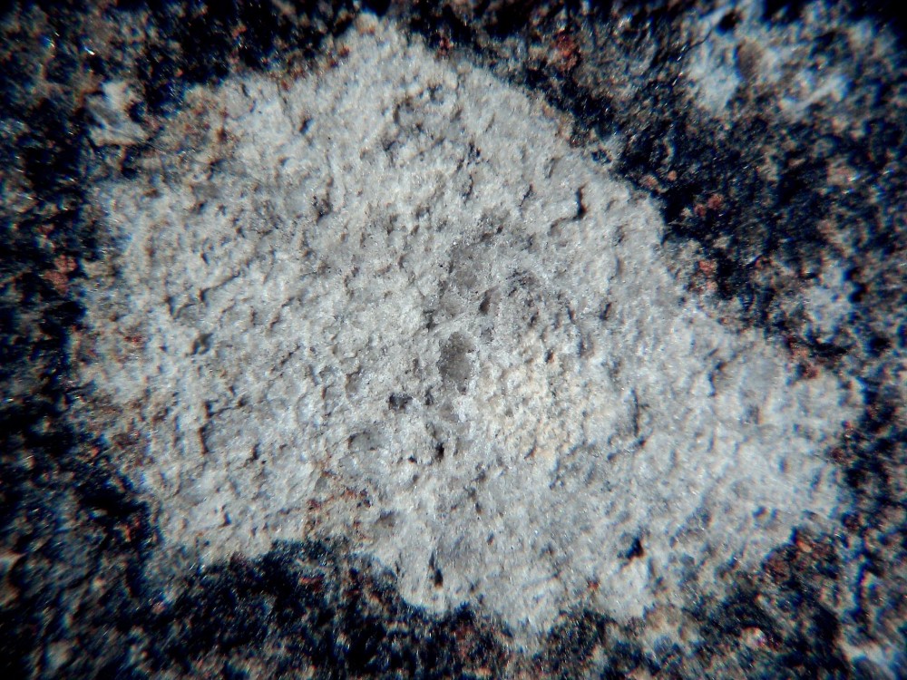 El Archane 025 4.jpg