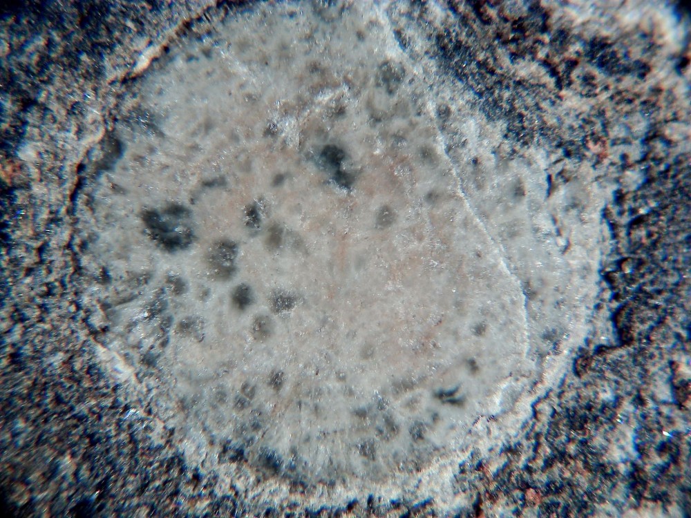 El Archane 025 5.jpg