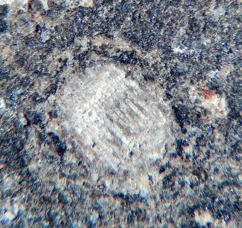 El Archane 025 6.jpg