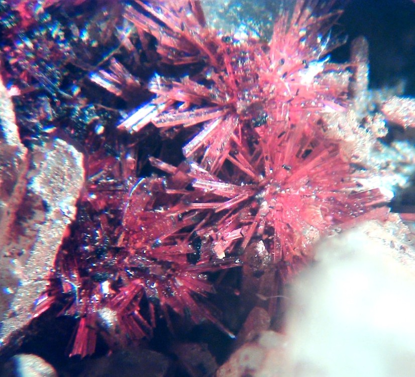 Erythrite 3.jpg