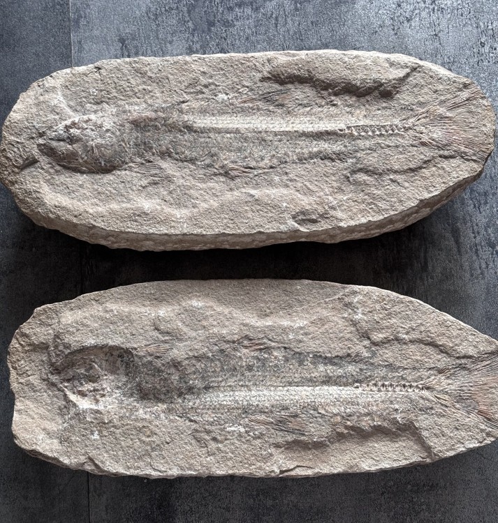 FullSizeRender 7.jpeg