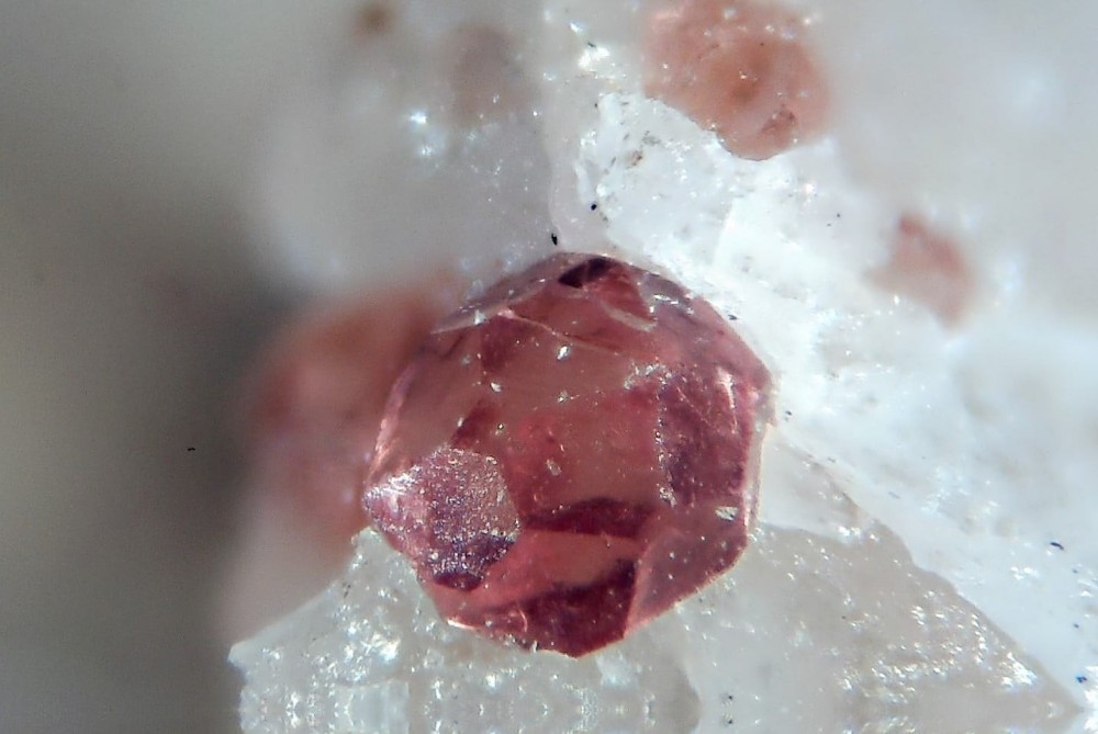 Grenat du Carroux.jpg