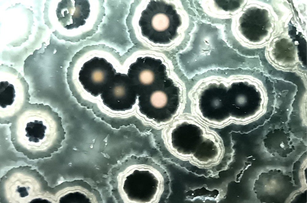 Jaspe léopard 3.jpeg