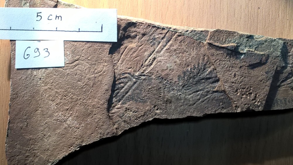 Loc - Chevrons - G93.jpg