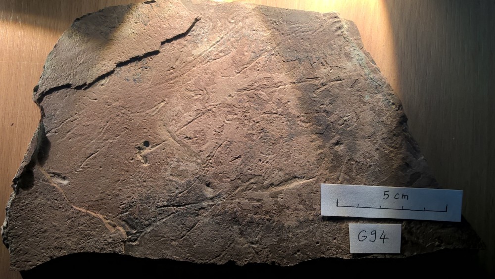 Loc - Chevrons - G94.jpg