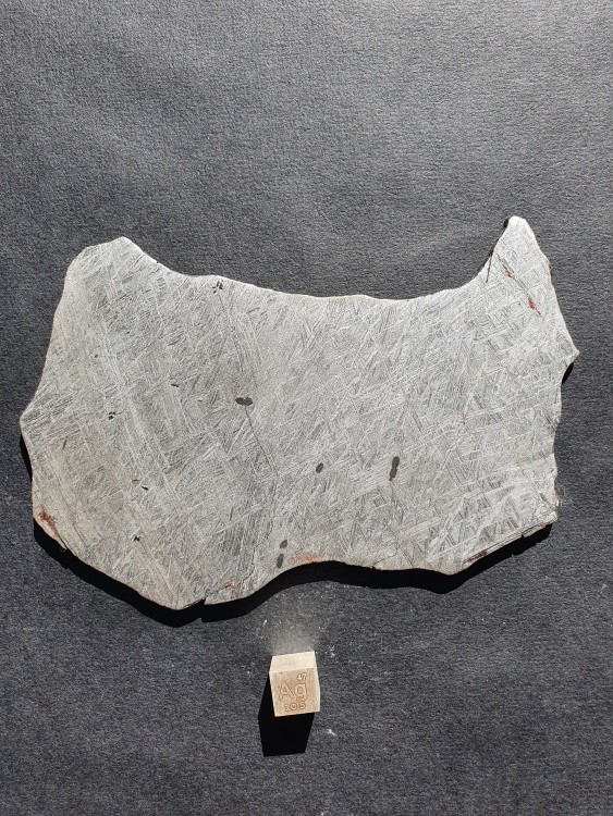 METEORITEGIBEON2sidriteIVA(Namibie1836)12016SCM16.thumb.jpg.9601ffbc6a89b55f9c81cb11b73acb60.jpg