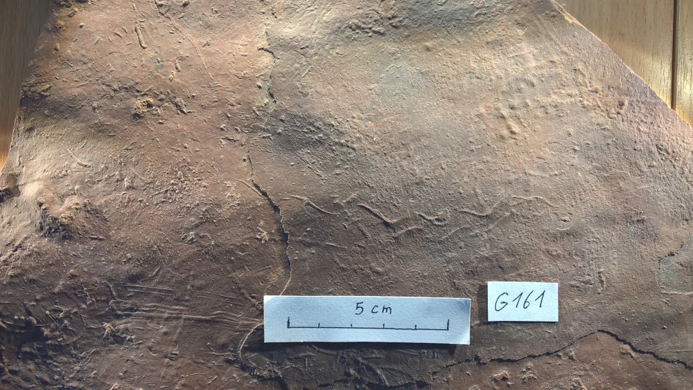 Mas d'Alary - Sinusoïdale - G161 zoom.jpg