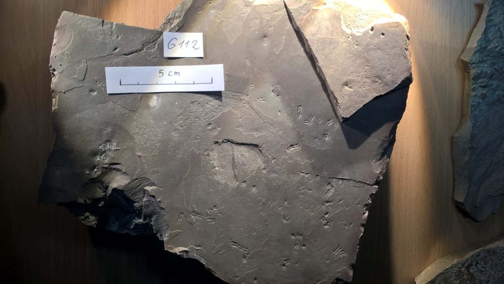 Merifons - Grains de riz - G112.jpg