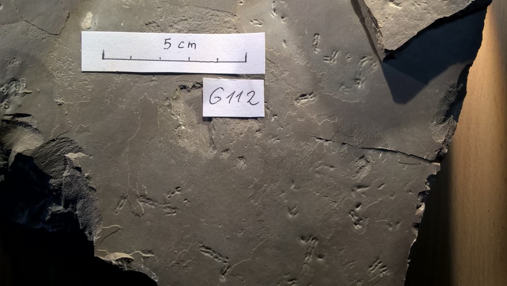 Merifons - Grains de riz - G112 zoom.jpg