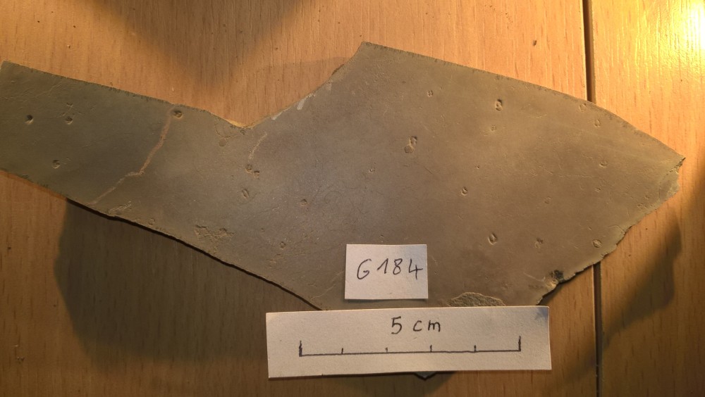 Merifons - Grains de riz - G184.jpg