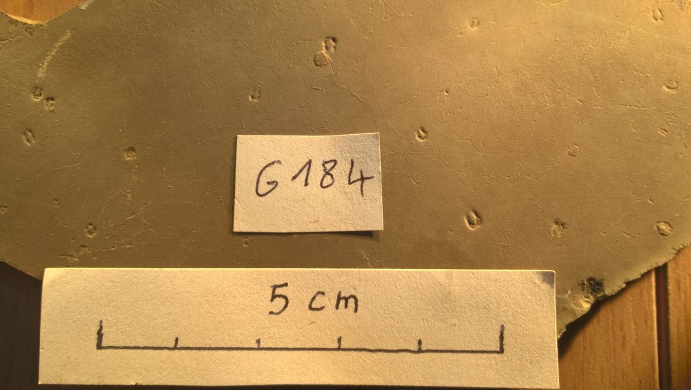 Merifons - Grains de riz - G184 zoom.jpg