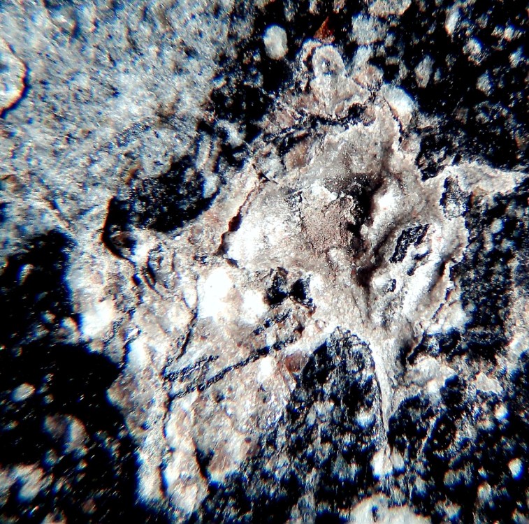 NWA 13989 géode 1.jpg