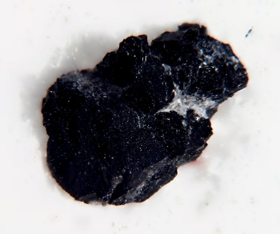 NWA 2737 chassignite 2.jpg