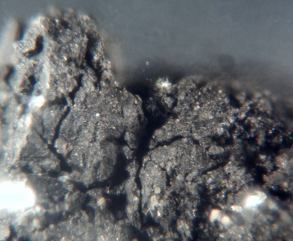 Oued Chebeika 002 1.jpg