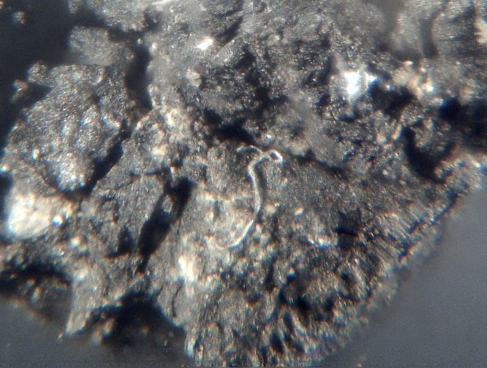 Oued Chebeika 002 2.jpg