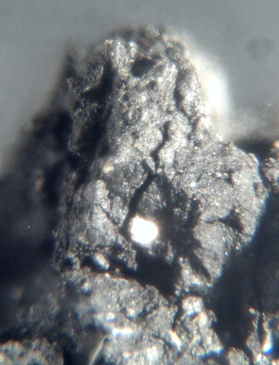 Oued Chebeika 002 3.jpg