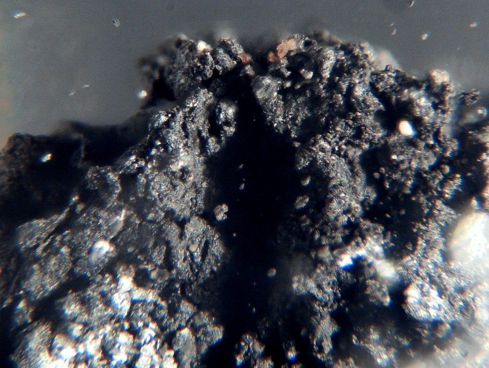 Oued Chebeika 002 4.jpg