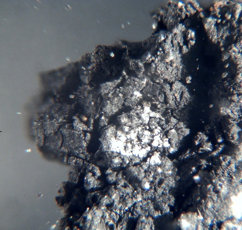 Oued Chebeika 002 5.jpg