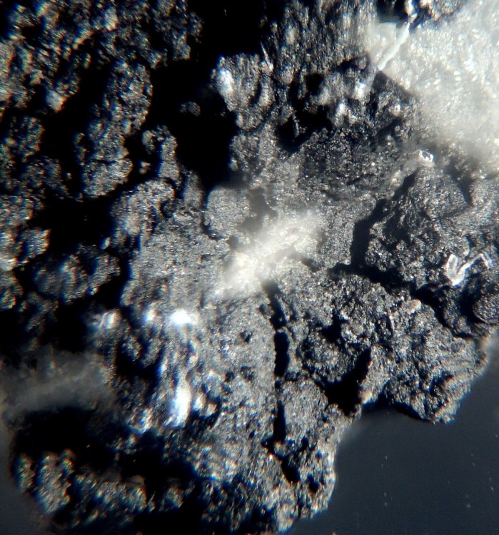 Oued Chebeika 002 6.jpg