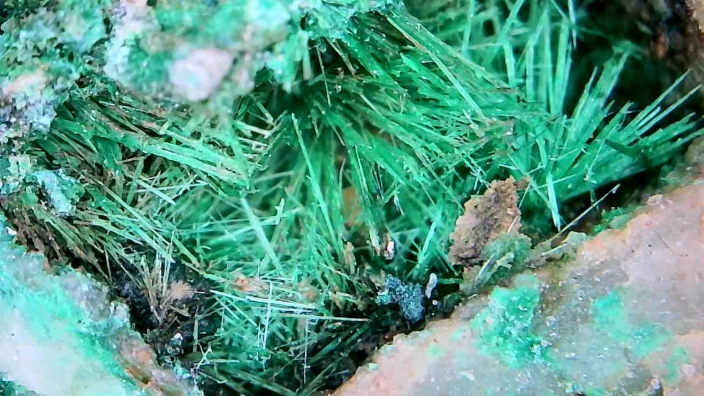 Photo_2026-02-22 17_43_35_821.JPG