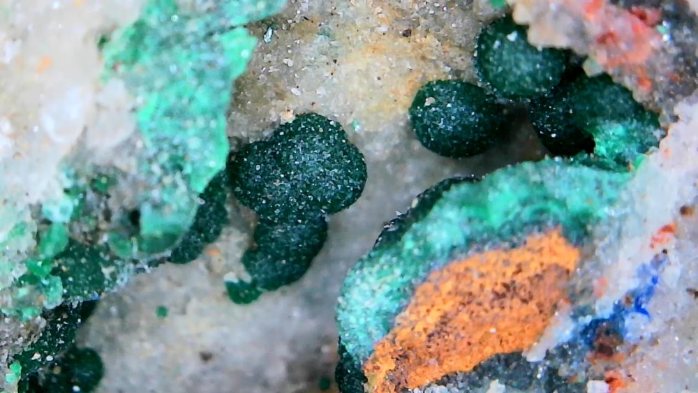 Photo_2026-02-22 17_49_00_209.JPG