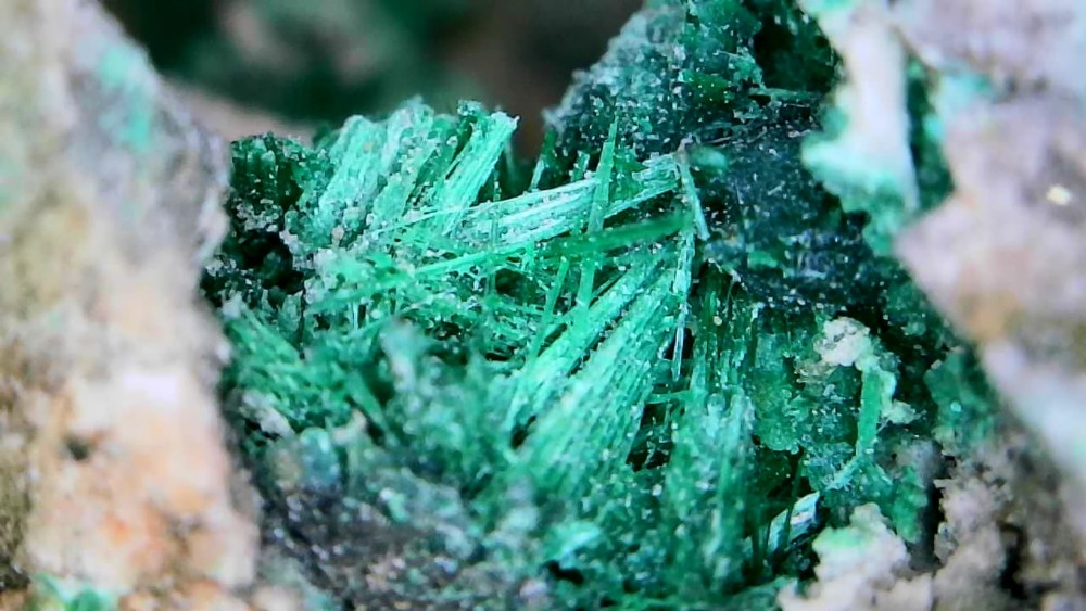 Photo_2026-02-22 17_50_13_301.JPG