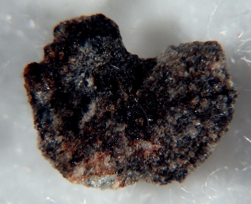 Saint Pierre le Viger 2.jpg