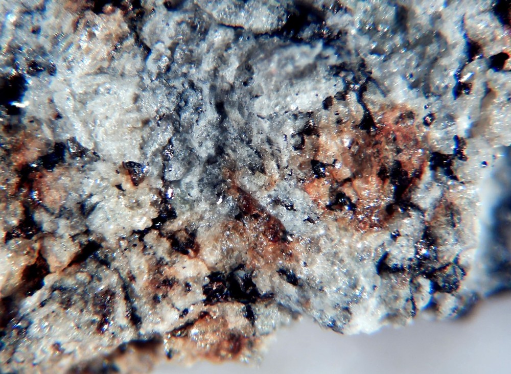 Saint Pierre le Viger 4.jpg