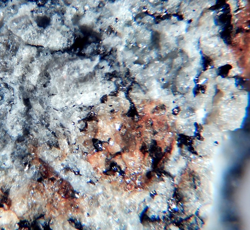 Saint Pierre le Viger 5.jpg