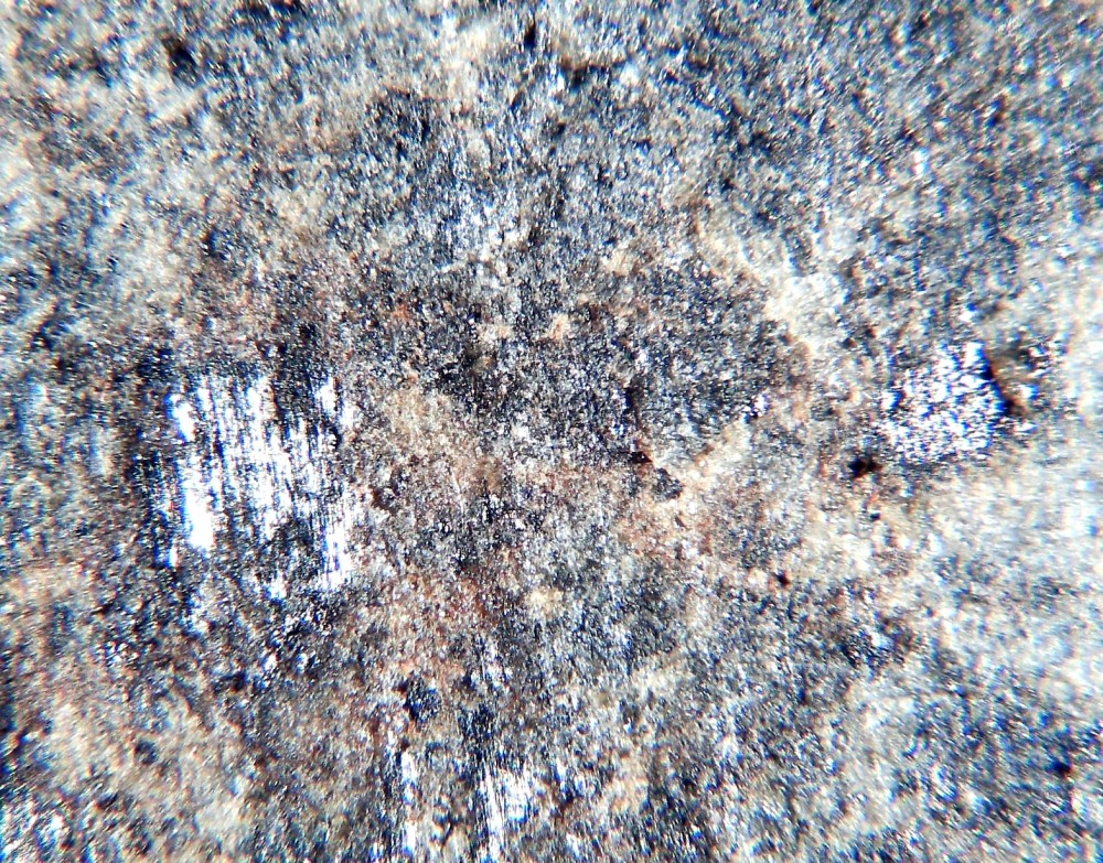 Saint Séverin 3.jpg