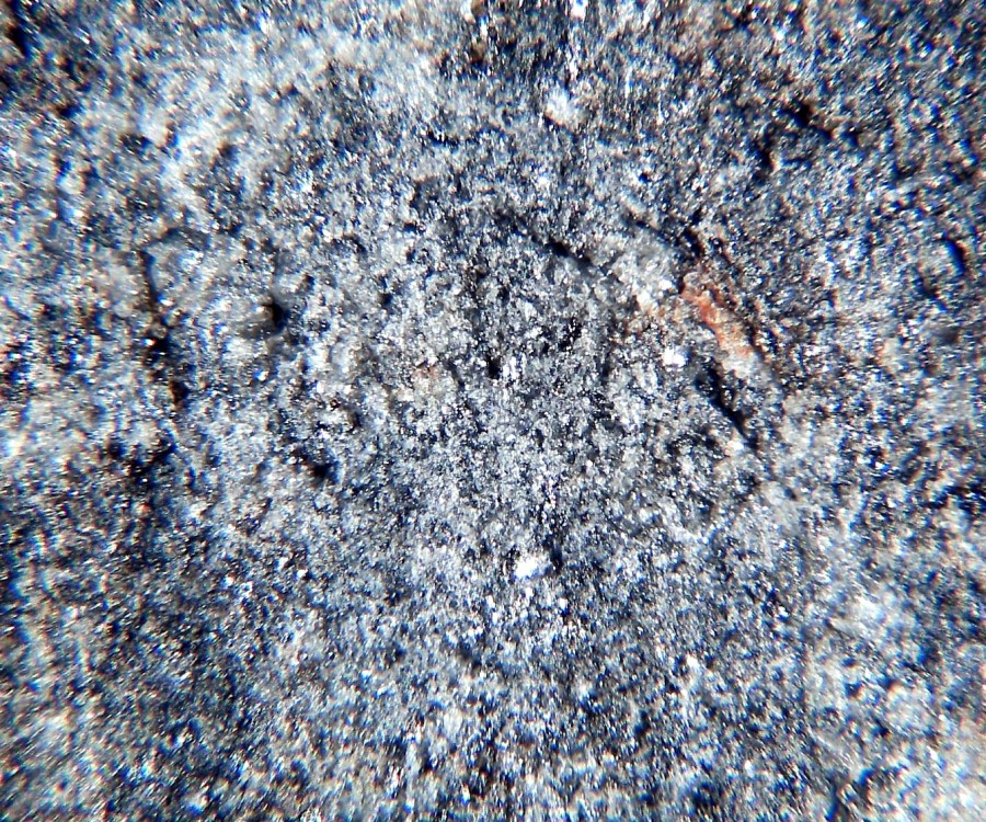 Saint Séverin 5.jpg