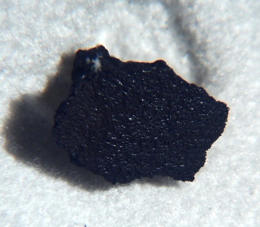 Tarda 0,12 g croute de fusion.jpg