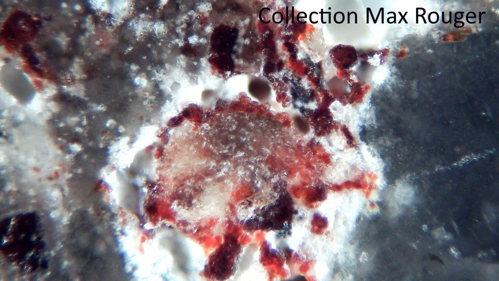 Tisserlitine 001 1.jpg