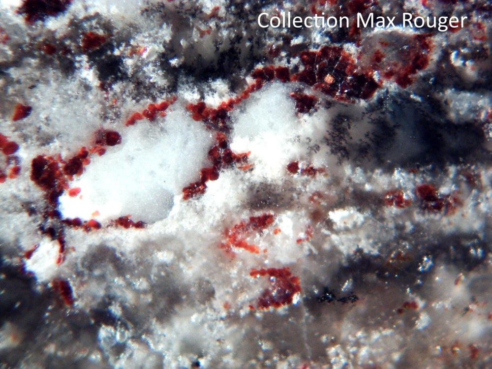 Tisserlitine 001 11.jpg