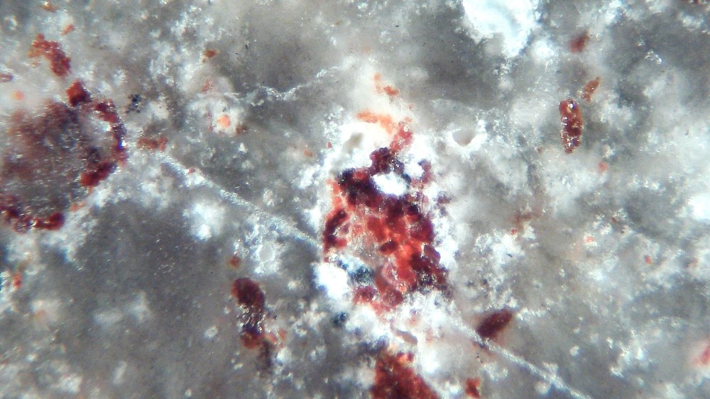 Tisserlitine 001 3.jpg