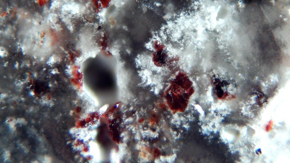 Tisserlitine 001 4.jpg