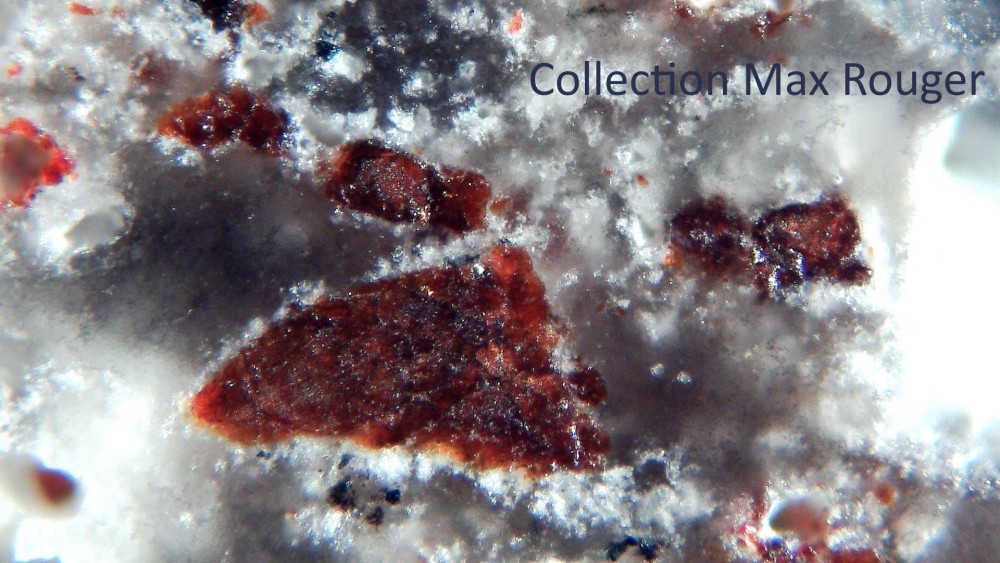 Tisserlitine 001 9.jpg