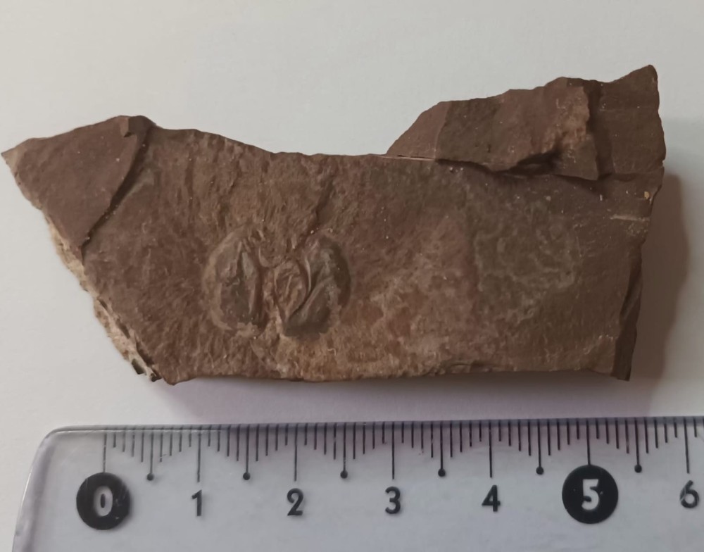 WhatsApp Image 2026-02-17 at 09.2.jpeg