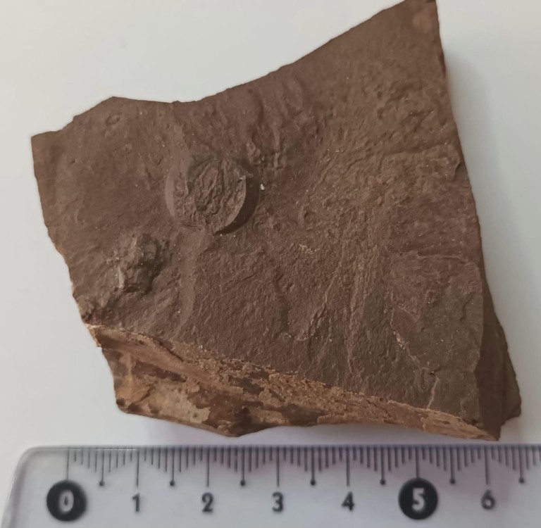 WhatsApp Image 2026-02-17 at 09.27..jpeg