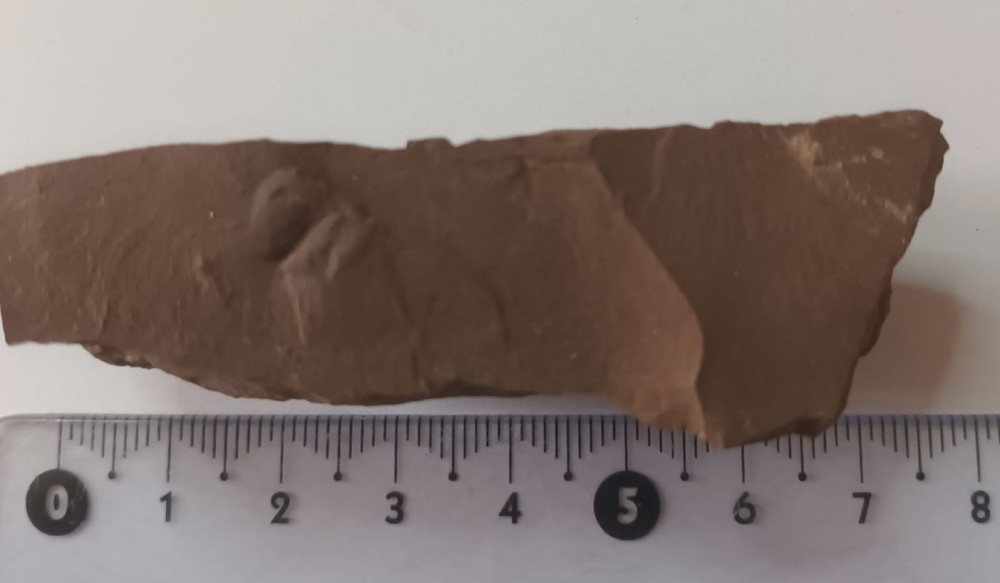 WhatsApp Image 2026-02-17 at 09.27.2.jpeg