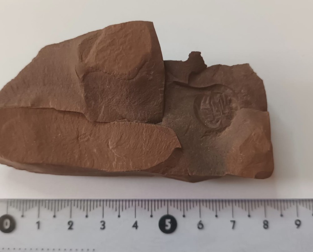 WhatsApp Image 2026-02-17 at 09.27.20.jpeg